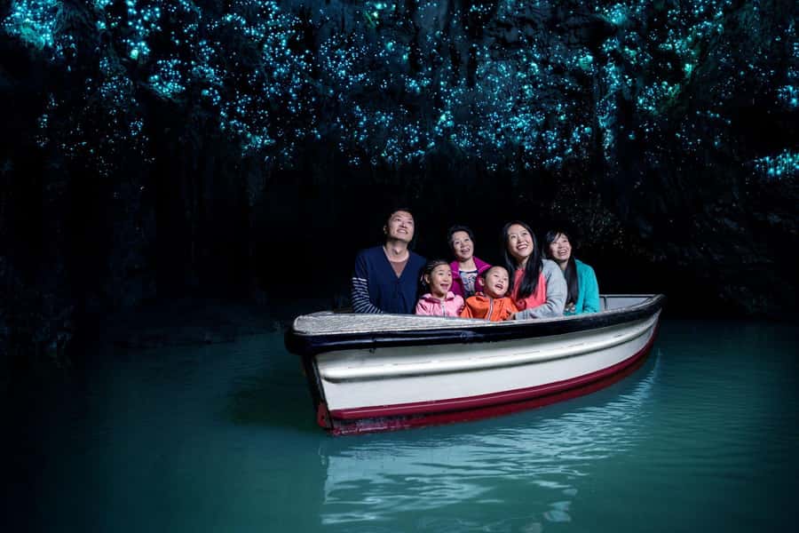 Auckland: Waitomo Caves & Rotorua - Te Puia Small-Group Tour - Key points at a glance