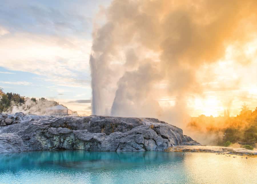 Auckland: Waitomo Caves & Rotorua - Te Puia Small-Group Tour - Price, timing, and the real value
