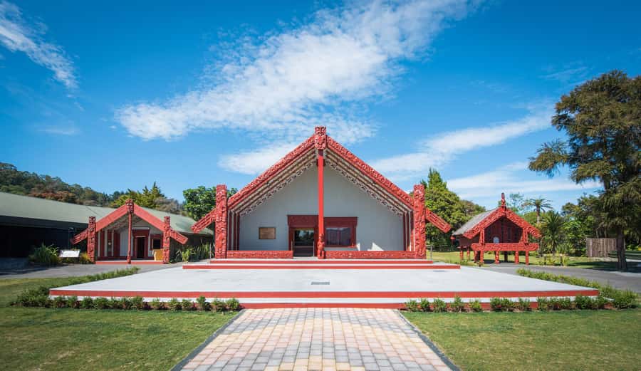 Auckland: Waitomo Caves & Te Puia Rotorua w Picnic Lunch - Te Puia and the power of Pōhutu Geyser