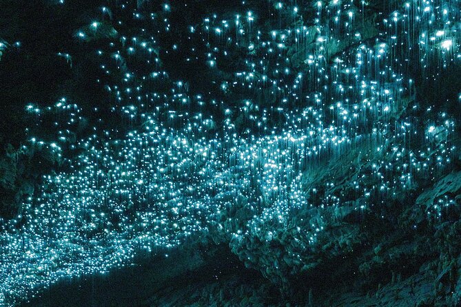 Auckland : Waitomo Spellbound Glow Worm Twin Caves Private Tour - Why the Glowworm Grotto is the star of the day