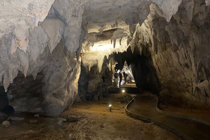Auckland : Waitomo Spellbound Glow Worm Twin Caves Private Tour - A useful break between the two cave visits