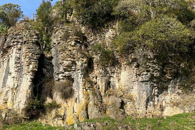 Auckland : Waitomo Spellbound Glow Worm Twin Caves Private Tour - Returning to Auckland after a long day