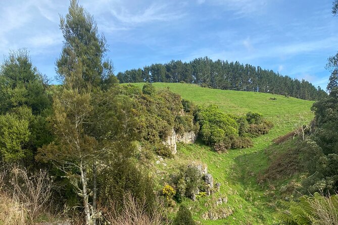 Auckland : Waitomo Spellbound Glow Worm Twin Caves Private Tour - Who will get the most from this tour