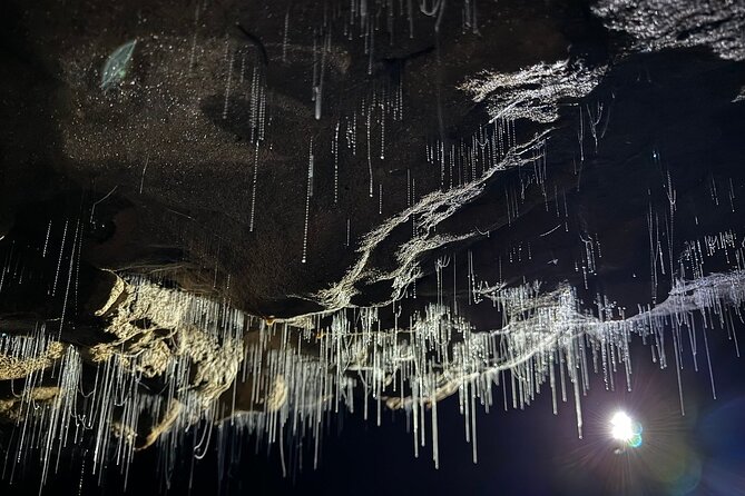 Auckland : Waitomo Spellbound Glow Worm Twin Caves Private Tour - Te Ana o Te Atua gives you a second kind of cave