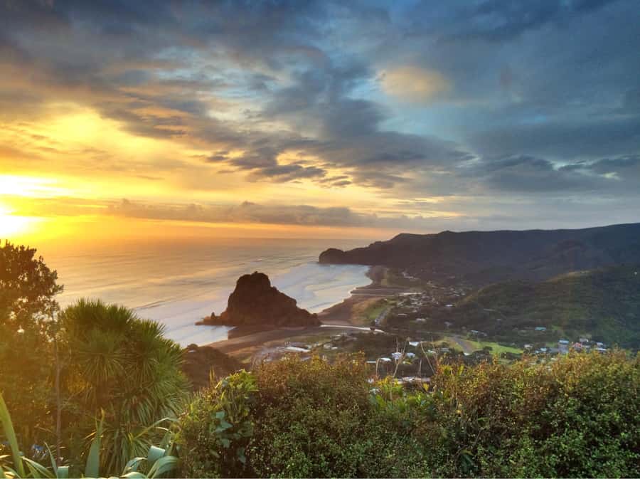 Auckland: West Coast Discovery - Key points to know before booking