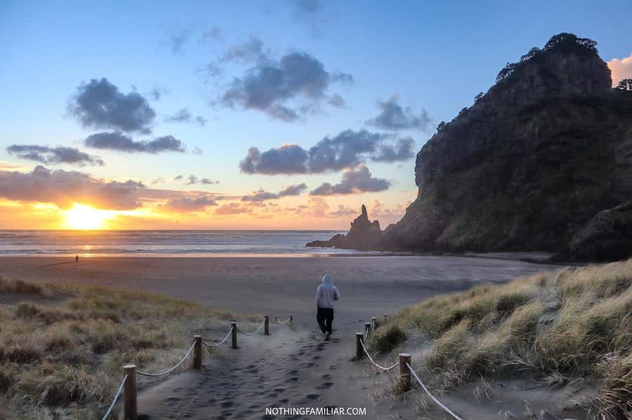 Auckland: West Coast Discovery - Why Piha makes a good half-day escape from Auckland
