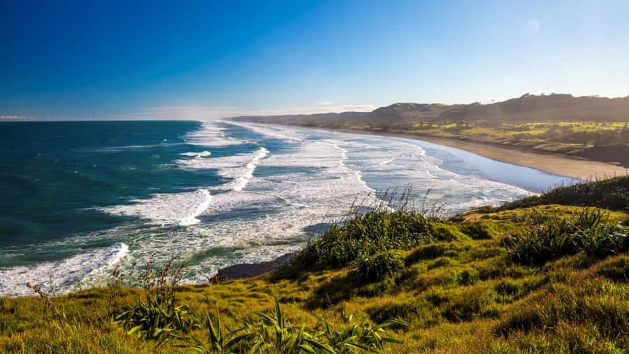 Auckland: West Coast Discovery - Arataki Visitor Centre and its wide views
