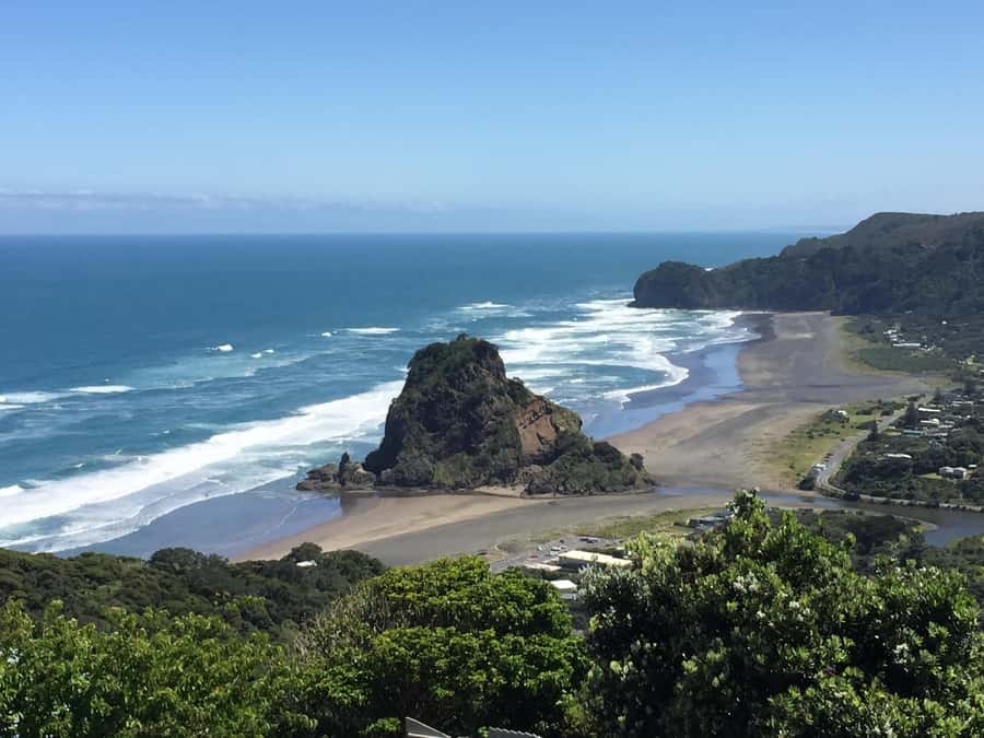 Auckland: West Coast Discovery - The drive through the Waitakere Ranges