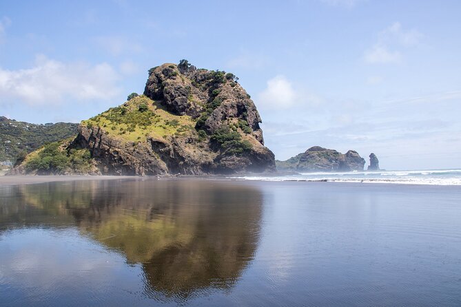 Auckland West Coast Half-Day Private Tour - A guide who connects scenery with place