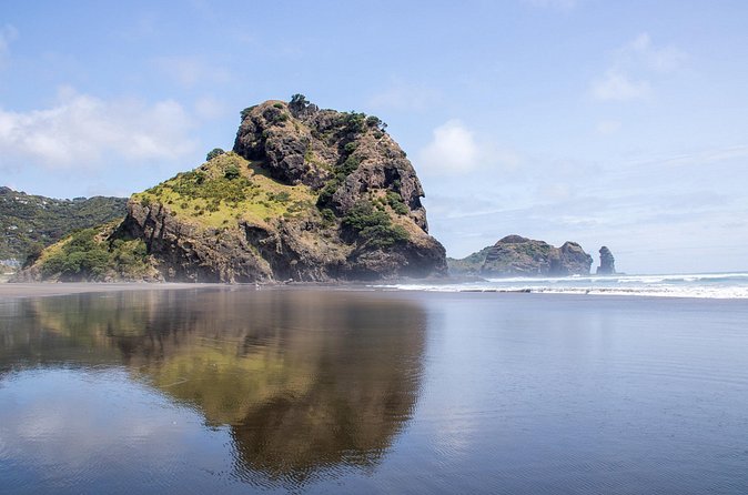 Auckland West Coast Half-Day Private Tour - The private SUV and what the price buys