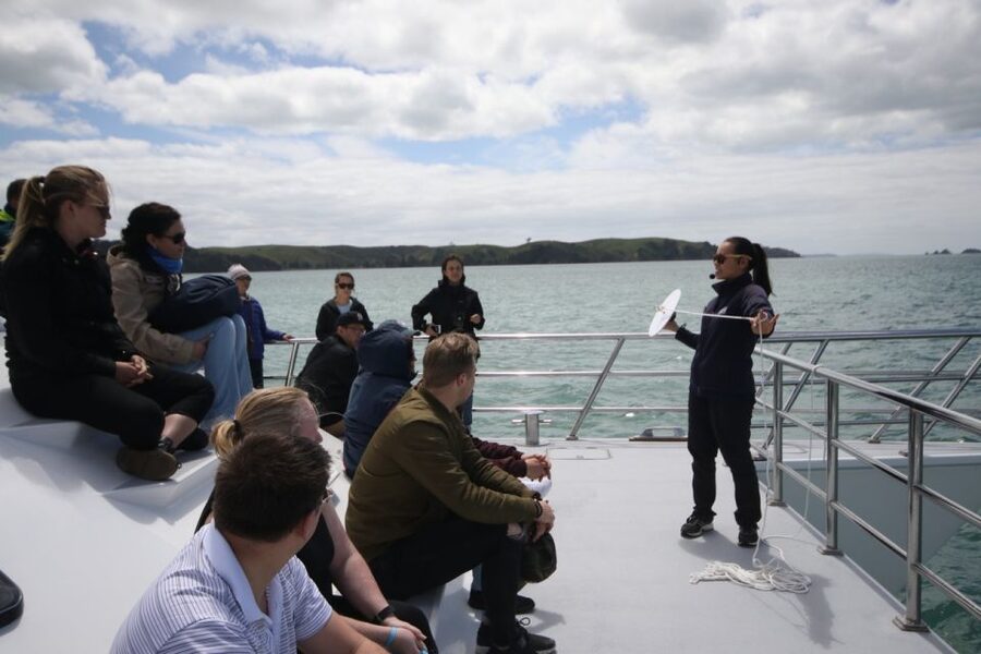 Auckland: Whale and Dolphin Watching Half-Day Eco Cruise - What the 270 minutes feel like