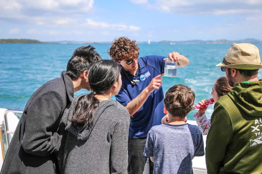 Auckland: Whale and Dolphin Watching Half-Day Eco Cruise - Is the Auckland Whale and Dolphin Safari worth booking?