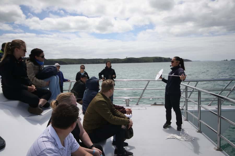 Auckland: Whale and Dolphin Watching Half-Day Eco Cruise - Rangitoto, Devonport, and the first part of the cruise