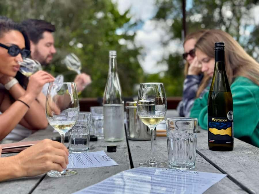 Auckland: Wine region tour with tastings and gourmet lunch - Who should book this wine tour?