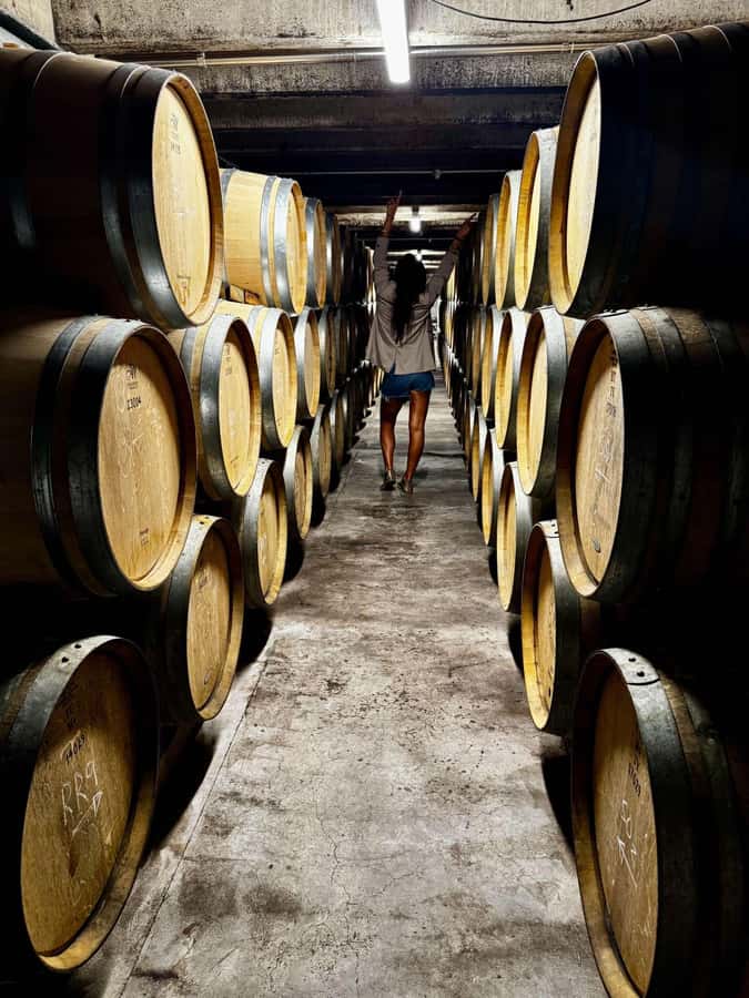 Auckland: Wine region tour with tastings and gourmet lunch - Westbrook Winery starts the tasting day