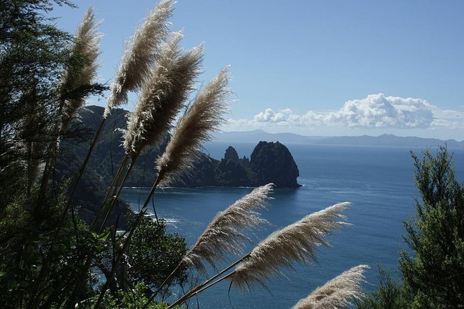 Bay of Islands 2-Day Small Group Tour & Cruise from Auckland - Waitangi Treaty Grounds puts New Zealand’s story at the center