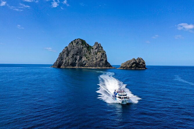 Bay of Islands 2-Day Small Group Tour & Cruise from Auckland - Tane Mahuta and the Waipoua Forest