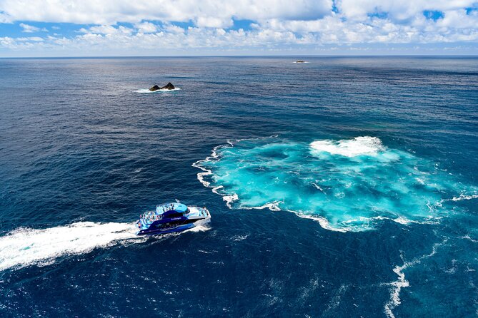 Bay of Islands Discovery Experience from Auckland incl. Hole In The Rock Cruise - Paihia and the four-hour cruise