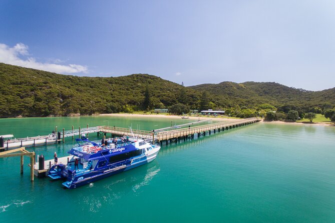 Bay of Islands Discovery Experience from Auckland incl. Hole In The Rock Cruise - Kawakawa and the Hundertwasser Public Toilets