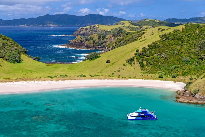 Bay of Islands Explorer Experience Small Group Tour From Auckland - Wildlife watching with rules attached
