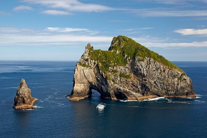 Bay of Islands Private Tour - Key points to know before booking