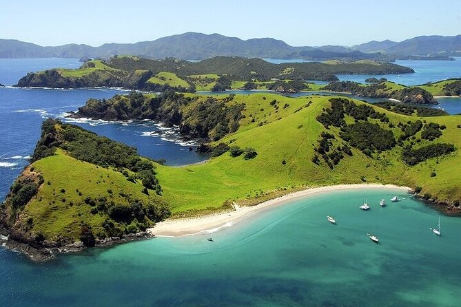 Bay of Islands Private Tour - Paihia and the 4.5-hour catamaran cruise