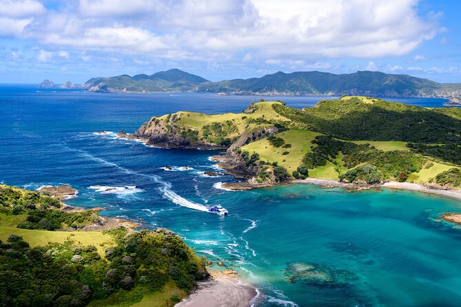 Bay of Islands Private Tour - What is included, and what the $589.54 price means