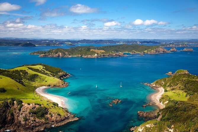 Bay of Islands Private Tour - The Auckland pickup and Northland drive