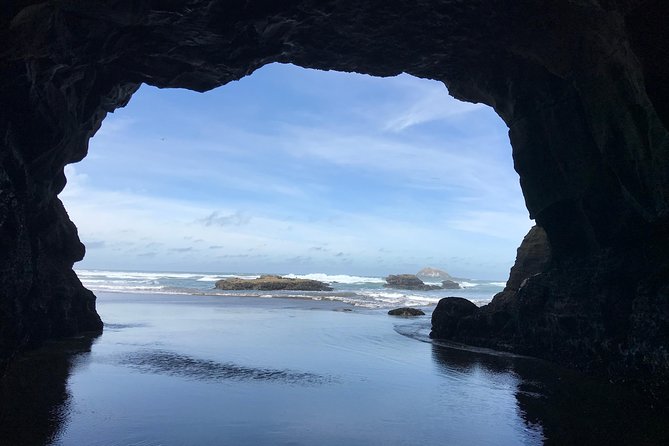 Beautiful Nature Tours Auckland - Private Tour - Who will get the most from this outing