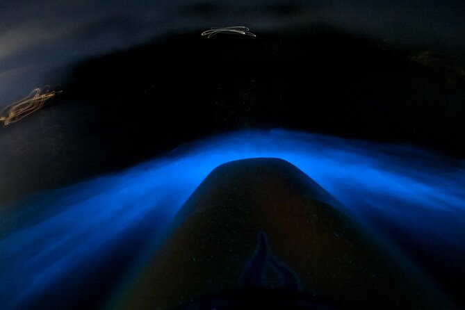 Bioluminescence Kayak Tour - Est. 1994 - Key points to know before booking