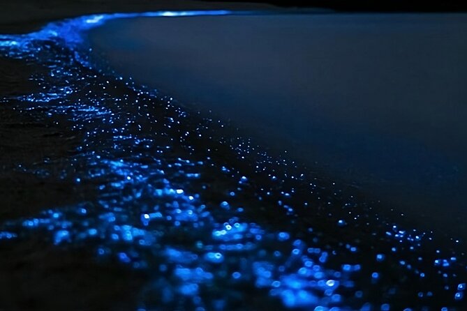 Bioluminescence Kayak Tour - Est. 1994 - A night paddle in Auckland’s northern bays