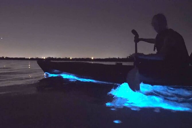 Bioluminescence Kayak Tour - Est. 1994 - What bioluminescence really looks like