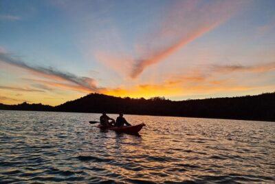 Bioluminescence Kayak Tour – Est. 1994