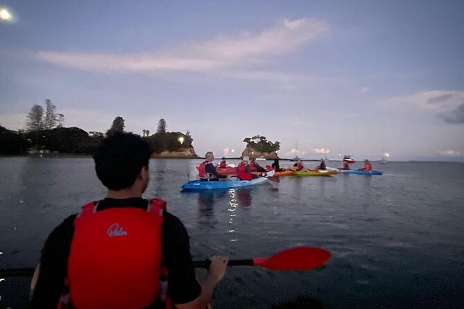Bioluminescence Kayak Tour - Est. 1994 - Timing, weather, and the natural limits of the tour