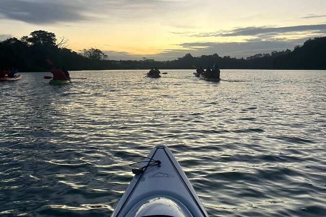 Bioluminescence Kayak Tour - Est. 1994 - Who will get the most from this experience
