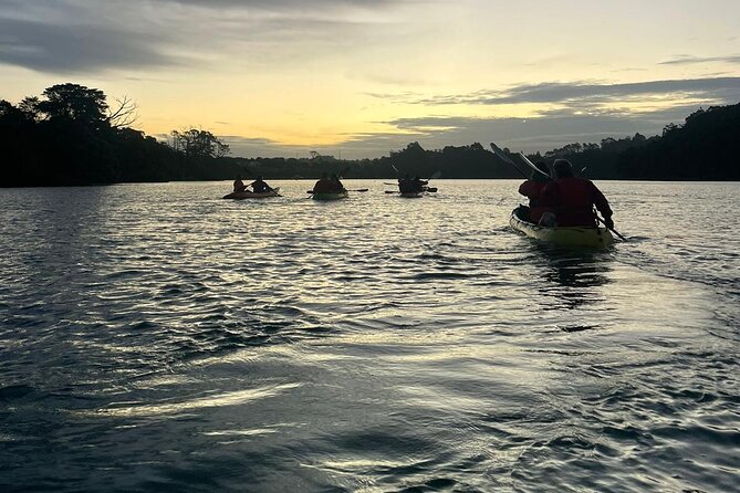 Bioluminescence Kayak Tour - Est. 1994 - Is the $73.85 price good value?