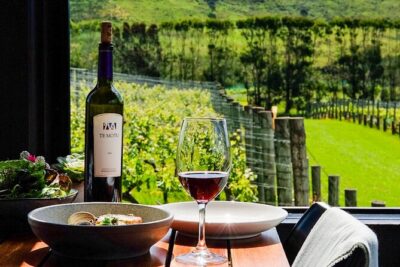 Boutique Waiheke Island Wine, Gin and Food Tour