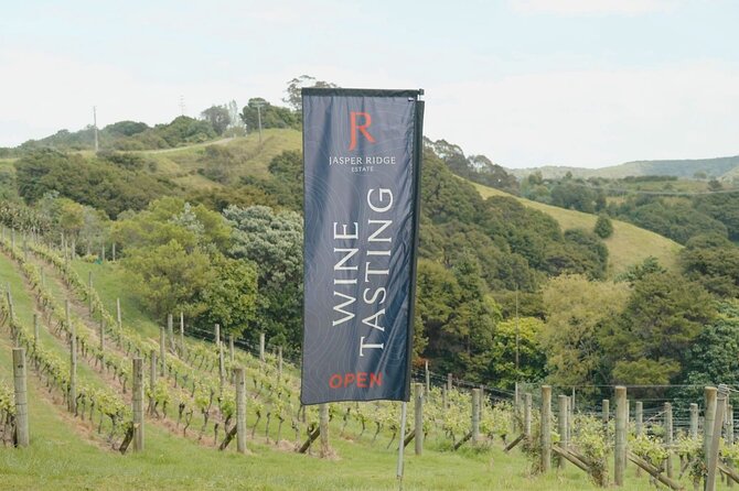 Boutique Waiheke Island Wine, Gin and Food Tour - Rangihoua Estate and the island’s olive oil