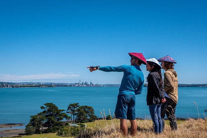 Browns Island Motukorea Sea Kayak Tour - Is $93.09 good value?