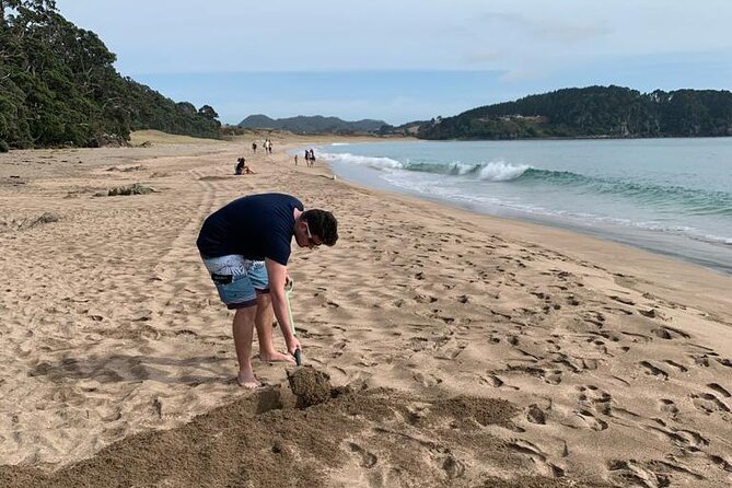 Cathedral Cove and Hot Water Beach Scenic Day Tour from Auckland - Should You Book the Cathedral Cove and Hot Water Beach Day Tour?