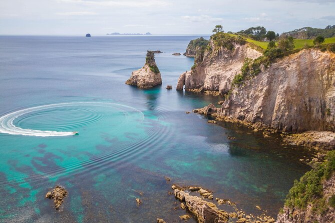 Cathedral Cove & Coromandel, Small-Group Tour from Auckland - Leaving Auckland at 6:30 am