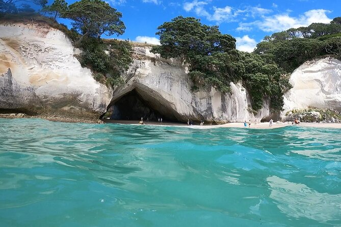 Cathedral Cove & Coromandel, Small-Group Tour from Auckland - The return drive with room for surprises