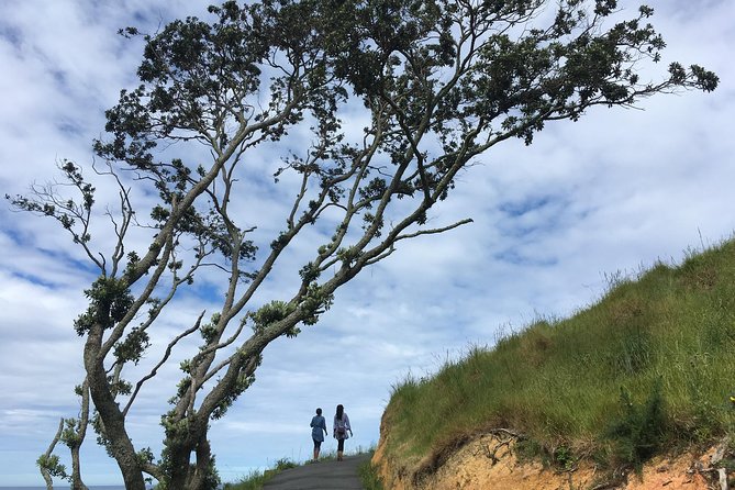 Cathedral Cove Day Trip from Auckland - Key points to know before you book
