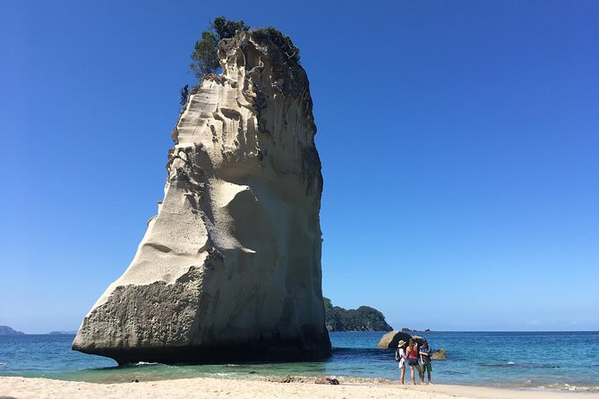 Cathedral Cove Day Trip from Auckland - The walk into Cathedral Cove