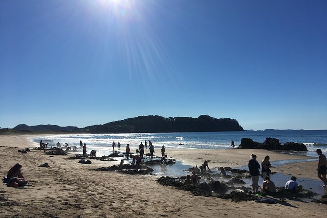 Cathedral Cove Day Trip from Auckland - What the guide adds to the day