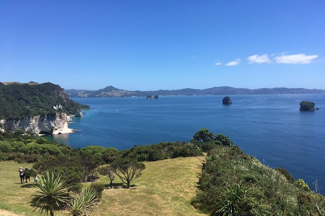 Cathedral Cove Day Trip from Auckland - Is $242.02 a fair price?