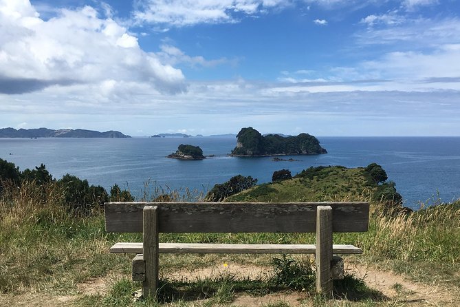 Cathedral Cove Day Trip from Auckland - Who will enjoy this Coromandel day trip?
