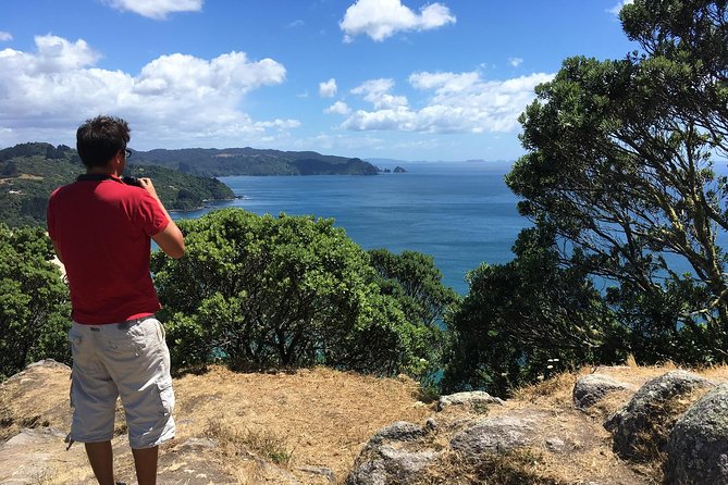Cathedral Cove Day Trip from Auckland - Practical advice for a smoother day