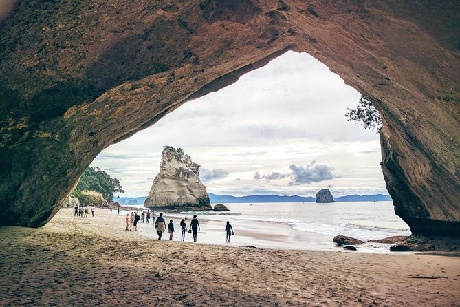 Cathedral Cove Day Trip from Auckland - Hot Water Beach and its natural heat
