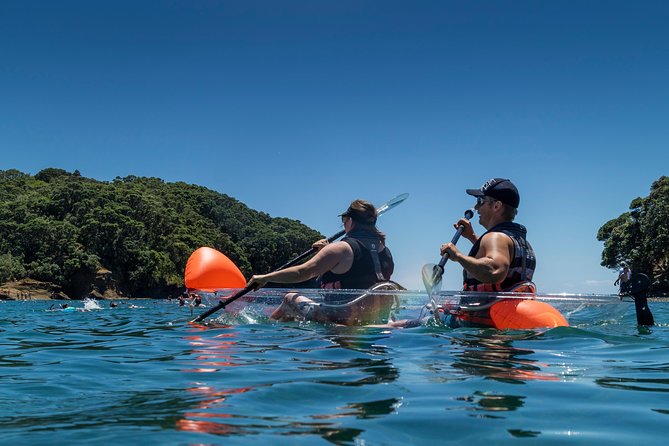 Clearyak hire at Goat Island Marine Reserve - Getting wet, staying warm, and choosing your clothes
